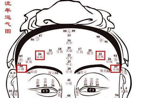 額角有痣|詳細分析：額頭上痣的位置與命運，男女各不相同，區。